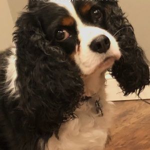 Meet your Posher, Logan